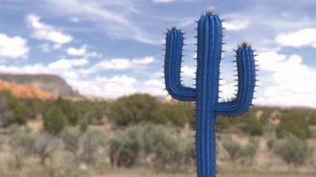 Mobotix concepto cactus